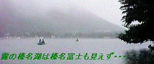 �J�Ɩ��̐Y����